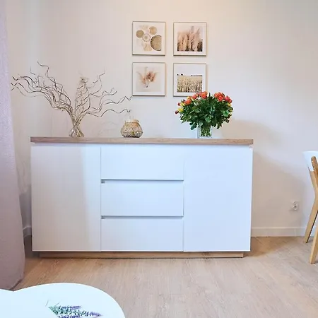 Апартаменты Staszica Studio Жешув