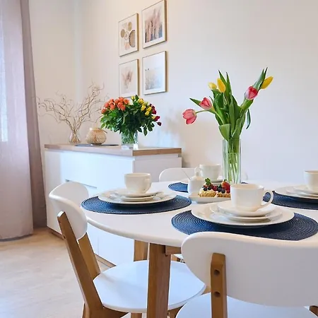 Appartement Staszica Studio *